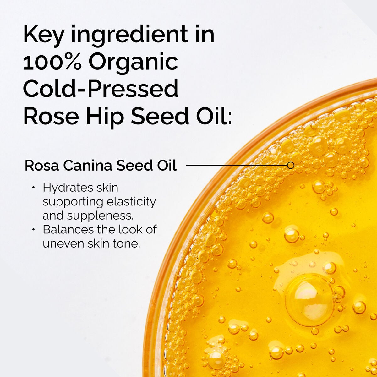 100-organic-cold-pressed-rose-hip-seed-oil-w3 FY25-D41247-ORD-Web-PDP-100-Rose-Hip-Oil-1x1-EN-2.jpg