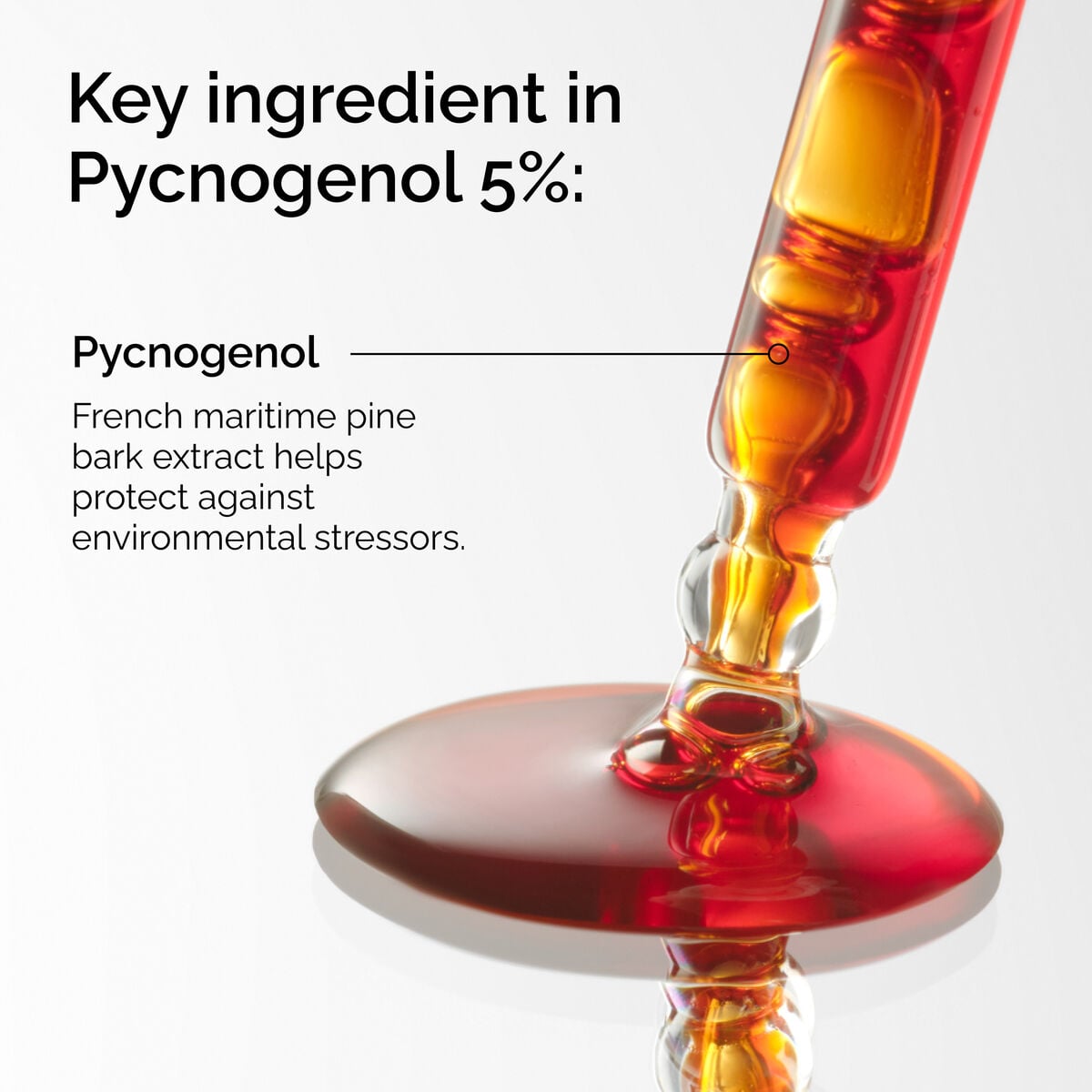 pycnogenol-5-u2 FY25-D41247-ORD-Web-PDP-Pyc-5pct-1x1-EN-2a.jpg