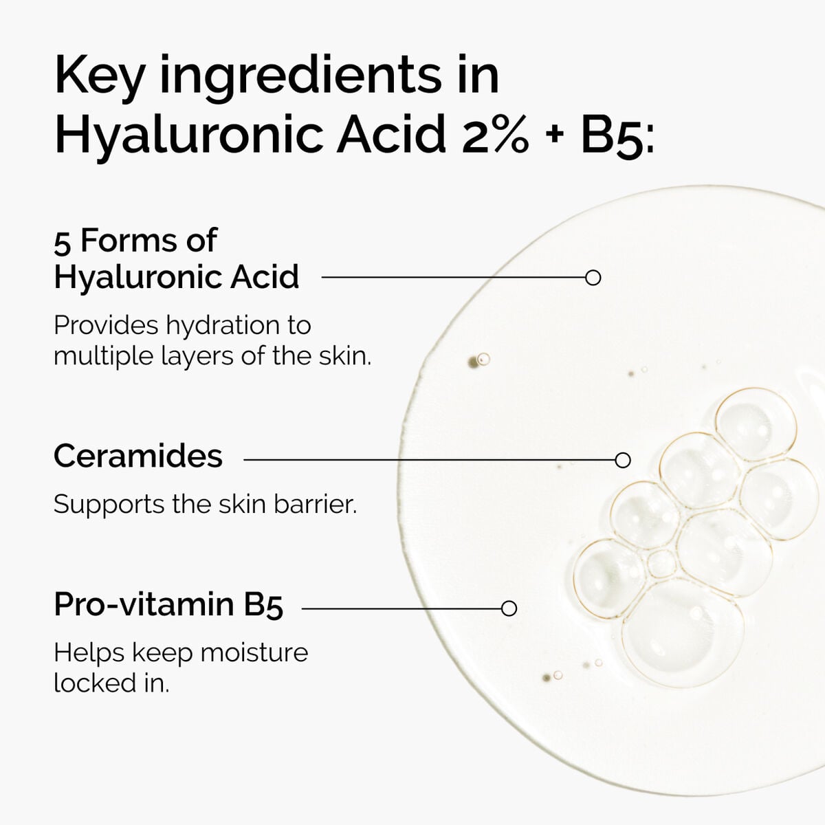 hyaluronic-acid-2-b5-with-ceramides-h3 ord-hyaluronic-acid-2pct-b5-hydrating-serum-ingredients-graphic.jpg