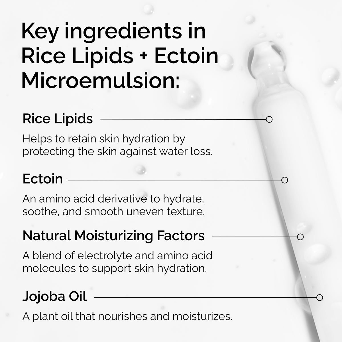 rice-lipids-ectoin-microemulsion-w0 ord-rice-lipids-ectoin-microemulsion-key-ingredients.png