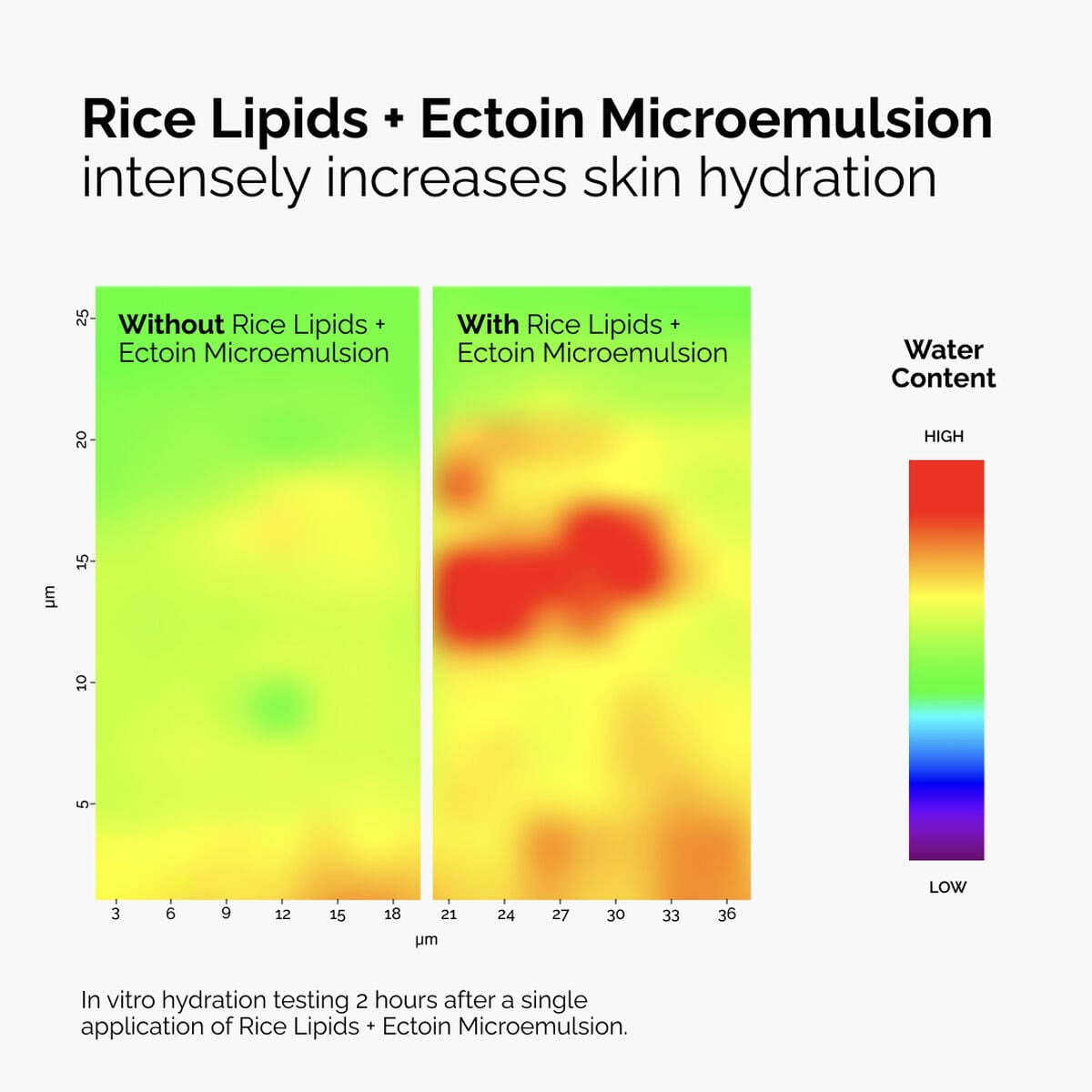 rice-lipids-ectoin-microemulsion-w0 ord-rice-lipids-ectoin-microemulsion-thermal-before-after.jpg